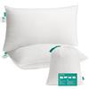 SONGMICS Cuscini Letto, Set da 2, 50 x 70 cm, Imbottitura 800 g, Rivestimento in Tessuto di Poliestere Spazzolato, Lavabile in Lavatrice a 60°C, Con Borsa, Bianco Nuvola TBP006W02