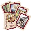 Barbara Meiklejohn-Free Flavia Kate Peters Spirit of the Drum Oracle (Cards)