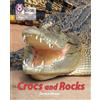 Teresa Heapy Crocs and Rocks (Tascabile)