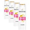 Pantene Pro-V Riccioli definiti Shampoo 325 ml per ricci ribelli e crespati, pulisce e protegge i legami dei capelli per un aspetto sano, senza oli minerali e coloranti, Active Nutri-Plex