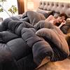 MTHGH Piumone Matrimoniale Invernale,Trapunta in Pile Double-Face Spessa E Calda,Coperta Addensare Fluffy Inverno Piumino Spesso Morbida E Calda(05,200 * 230m/3kg)