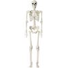 GEMMAHW Scheletro Halloween 165 cm a Grandezza Naturale, Scheletro Posabile con Articolazioni Mobili, Decorazione Spaventosa per Casa Infestata, Giardino o Festa di Halloween