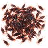 TOYANDONA 60Pcs Scarafaggio Falso Scarafaggi Realistici Scherzo Novità Plastica Scarafaggi Aspetto Reale per Halloween ()