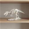 Scheletro Di Tyrannosaurus Rex In Resina Scheletro Di Tyrannosaurus Base Simile