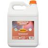 Bauchem Cotto Plus Rinnovatore Detergente Disincrostante per Cotto, Clinker e Pietre Porose 5 Lt