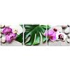 Quadri L&C ITALIA Orchidea Bianca Viola - Quadretti Bagno Moderno Rilassante Zen con Fiori Bianchi Sassi e Foglie - Stampe da Parete 25x25 Tela Canvas