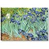 Quadri L&C ITALIA Quadro Van Gogh Iris - Stampa su Tela da Parete con Fiori 70 x 50 per Soggiorno Camera da Letto Cucina Ufficio