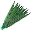 SYSUII 10 piume di fagiano - 25 - 30 cm - Piume di fagiano naturale per bricolage, piume di pollo, per artigianato, acchiappasogni, carnevale, piume, maschera per matrimoni, feste, colore verde