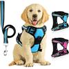 SIBOTER Pettorina Cane Taglia Media/Grande Regolabile, Traspirante Con Guinzaglio, Antifuga per Corsa, Passeggiate, Jogging (S, Blu)