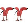 Papo - Statuetta Ibis Scarlatto Realistica - 3 Anni + - Collezione La Vita Selvaggia - Gioco Educativo Uccelli Esotici - Idea Regalo Giocattolo Bambina Bambino (Confezione da 2)