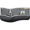ProtoArc EK01 Plus - Tastiera ergonomica illuminata senza fili, Full Size | Split, tastiera wireless con poggiapolsi, Bluetooth e USB, ricaricabile, per Windows/Mac/Android