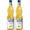 Fabbri Sciroppo Mixybar Limone 1L (Confezione da 2)