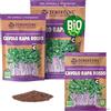 ZenGreens® Semi di cavolo rapa rosso biologico - Scegli tra 200g e 500g | germogli e microgreens - per barattolo, vassoio e germogliatore a piani - alta germinabilità - raccolta in pochi giorni