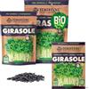 ZenGreens® Semi di girasole biologico - Scegli tra 200g e 500g | germogli e microgreens - per barattolo e vassoio - alta germinabilità - raccolta in pochi giorni