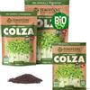 ZenGreens® Semi di colza biologico - Scegli tra 200g e 500g | germogli e microgreens - per vassoio e germogliatore a piani - alta germinabilità - raccolta in pochi giorni