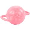 aqxreight Yoga Acqua Kettlebell Riempito d'Acqua Doppio Orecchio Maniglia Peso Domestico Strumento Sportivo RegolabileRosa It 4/6/8/10 / 12 Libbre Iniettando Diverso da Lattina a Regolabile Secondo