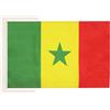 AZ FLAG Bandiera Senegal 45x30 cm Senegalese Poliestere 100D Cordini | Uso interno ed esterno bandiera decorativa Senegaal doppie cuciture e bordi rinforzati