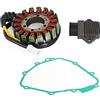 Artudatech Magneto Stator+Voltage Rectifier+Gasket Fit for Honda CBF 600 F/CB 600 F Hornet 1991-2002