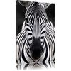 Pixxprint Zebra Portrait Stampa su Tela 120x80 cm Artistica murale