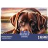 UJSDVNNJJ 1000 Pezzi Labrador Gioco Familiare Labrador Intrattenimento Creativo Decorazione Famiglia Regalo Perfetto Per Appassionati Di Puzzle Per Adulti E Bambini Da 14 Anni E Più 38x26cm/1000pcs