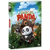 M2 Pictures A Spasso Col Panda