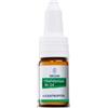 Chelidonium riz rh d4 10ml col - Weleda - 800075881