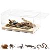 mimzemamz Terrario per Rettili Acrilico, Terrario Trasparente Piccolo con Fori per l'Aria, Teca per Geco, per Ragni, Criceti Contenitore per l'Alimentazione Degli Insetti 20 x 12 x 12 cm