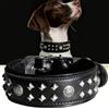 HQSHNY EliteGuard Collare per cani in pelle, larghezza 5,6 cm, realizzato a mano, con borchie e fibbia in acciaio inox, per l'uso quotidiano su cani di taglia grande, nero, L