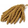 Generico Spighe di Panico Naturali per Uccelli - Snack Vegetale per Canarini, Cocorite, Pappagallini e Volatili - Alimento Naturale da Appendere alla Gabbia-500gr