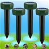 BOJYS Repellente Solare per Talpe 2026, Repellente per formiche Regina per Giardino e Campeggio, Gopher, Repellentes per Serpenti Talpa, Gopher e Altri Repellenti per Talpe,Repellenti per Topi 4 Pezzi