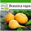 SAFLAX - BIO - Cavolo rapa - Goldana - 500 semi - Brassica rapa