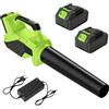 Gpanvor Soffiatore a Batteria 21V, Soffiatore Foglie Senza Filo da 260km/h | Motore Brushless, 15,8 m³/min, 2 Batterie 3000mAh, 6 Velocità Regolabili, Tubo Staccabile per Giardino, Vialetti, Auto e Neve