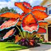 TUYIKJHS Orecchia di Elefante/Resistenti Perenne/Splendide decorazioni da giardino/Adatta ai principianti/Adatto per uso interno ed esterno-10Rizomi-D