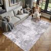 PureCozy Tappeto Salotto 160x230cm Grigio Lavabile in Lavatrice | Antiscivolo Tappeti,Moderno Astratto Naturale Grande Carpet,Cameretta Scendiletto Camera da Letto Ufficio Pelo Corto