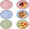 FENGQQKJ 6 piatti in plastica riutilizzabili, 22,5 cm, piatti da campeggio, piatti di plastica colorati, facilmente infrangibili, per feste, campeggio, colazione, pizza, microonde e lavastoviglie (1)