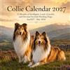 Collie Calendar 2027: 15 Months of Intelligent, Loyal, Graceful, and Devoted Scottish Herding Dogs; Jan2027 - Mar 2028