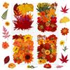 Higijapuf 100 Pezzi di Fiori secchi pressati Autunnali per bricolage | Fiori e foglie pressati, 4 set sottovuoto, fiori secchi per resina, unghie, biglietti e scrapbooking