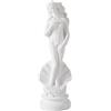 Doyomtoy Statua dell'afrodite dea greca romana bellissima statua classica statua bianca scultura in resina accessorio per la casa dea Venere