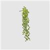 EDG Enzo De Gasperi Echeveria Olis Cespuglio Cadente H 44 Cm Pianta Artificiale Verde Chiaro