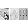 SALVADERO Set di 3 Poster in Bianco e Nero - Mare, Surf e Stile Riviera per Soggiorno, Senza Cornice (COCO J12, 42L x 30l cm)