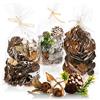 COM-FOUR® 3x Decorazioni natalizie in un sacchetto con coni e ramoscelli | addobbi natalizi - set di artigianato - decorazioni per la tavola