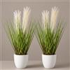 oeeo Set di 2 cortaderia selloana in vaso di plastica bianca (45 cm): set di erba della pampa artificiale di alta qualità, come vera, resistente alle intemperie e ai raggi UV, insapore e facile da