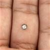 NATURAL ROSE CUT DIAMONDS Diamante Naturale Rotondo Taglio Verde Grigio Misto 0.20 Cts Per Fare Un Nashpin