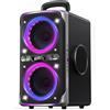 DGoak Cassa Bluetooth Portatile 240W (Peak), Altoparlante Wireless con Super Bass, Speaker TWS Stereo, 20H, Waterproof IPX4, con Luce LED per Party, Campeggio, Casa e Outdoor