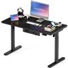 MAIDeSITe Scrivania elettrica regolabile in altezza, 120 x 60 cm, scrivania RGB con LED, scrivania per gamer, per casa, ufficio, tavolo per computer per soggiorno