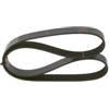 BOSCH Cinghia Poly-V 1987946101