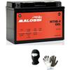MOTO SPORT MONDO COMPATIBILE CON YAMAHA YP Majesty (SH055/SH058) 400 da anno 2009 al 2013 BATTERIA YB9B-BS MALOSSI MT9B-4 IN GEL FORNITA PRONTA E CARICA PER L'UTILIZZO BATTERIE 8 AH AMPERE 12 VOLT 150X68X105MM