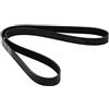 DAYCO 6PK1217 Cinghia Poly-V