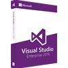 Microsoft Visual Studio 2019 Enterprise - Licenza A Vita