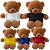 PELUSCIAMO Peluche Orsetto Personalizzabile Con Immagini Frasi o Loghi 18 cm | Mascotte Teddy Bear | 1 Personalizzazione Compresa PS 33790